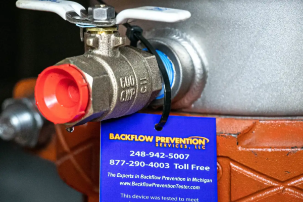 backflow_results